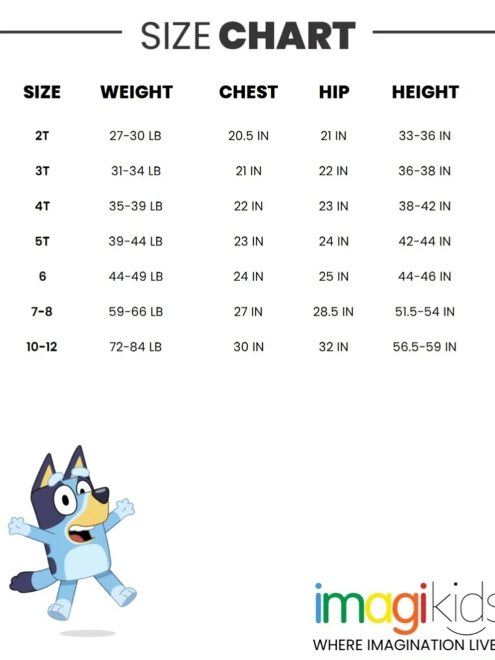 Bluey Bingo Matching Family Tank Top & Shorts Outfit Set Size 3T